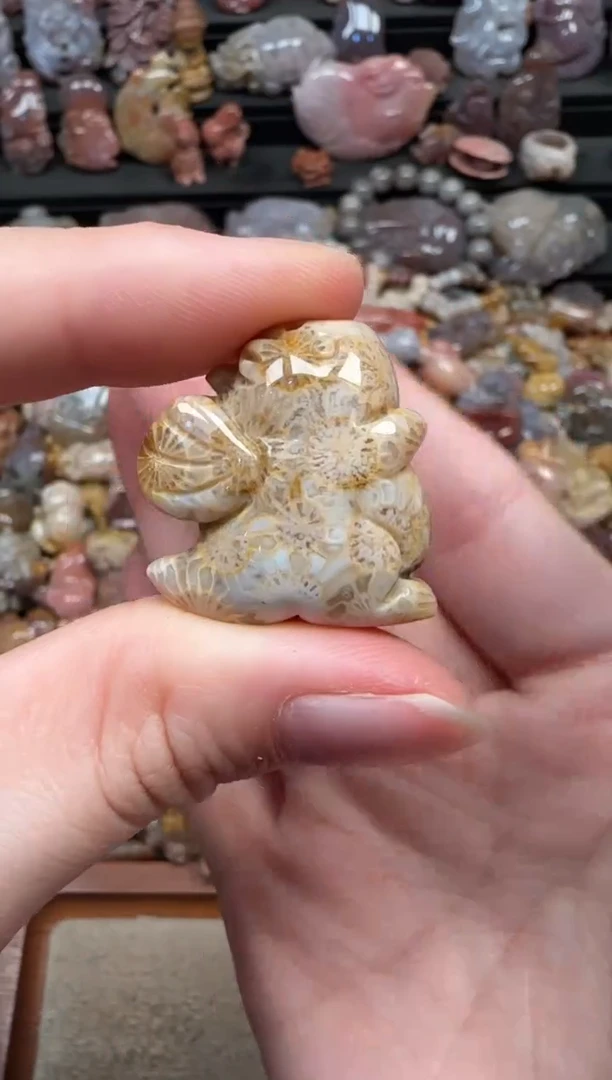 颈饰未镶嵌硅化珊瑚（珊瑚玉）486