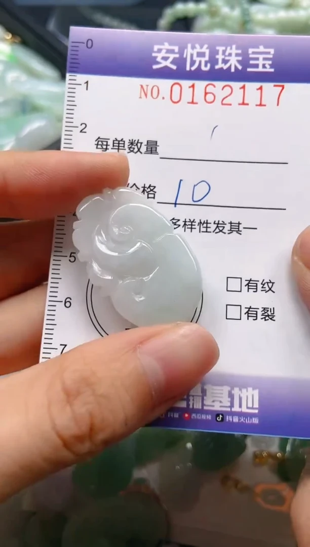 翡翠未镶嵌颈饰闪购0162117
