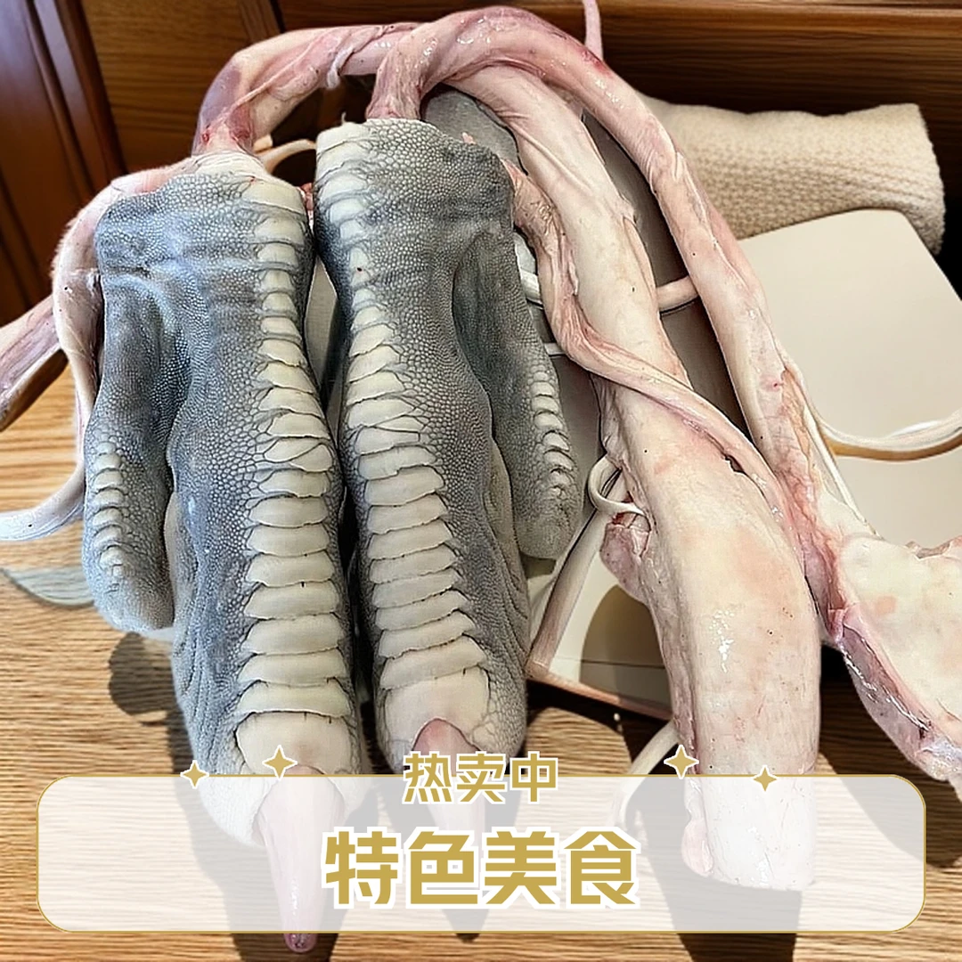 鸵鸟脚掌特色美食！嘎嘎好吃！