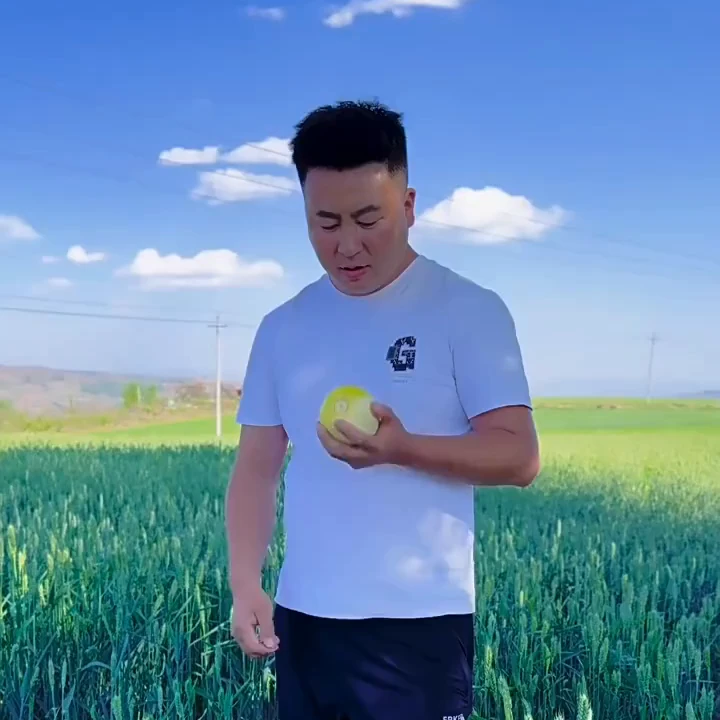 甘肃秦安头茬白脆瓜甜瓜皮薄香脆应季新鲜水果产地直发整箱包邮