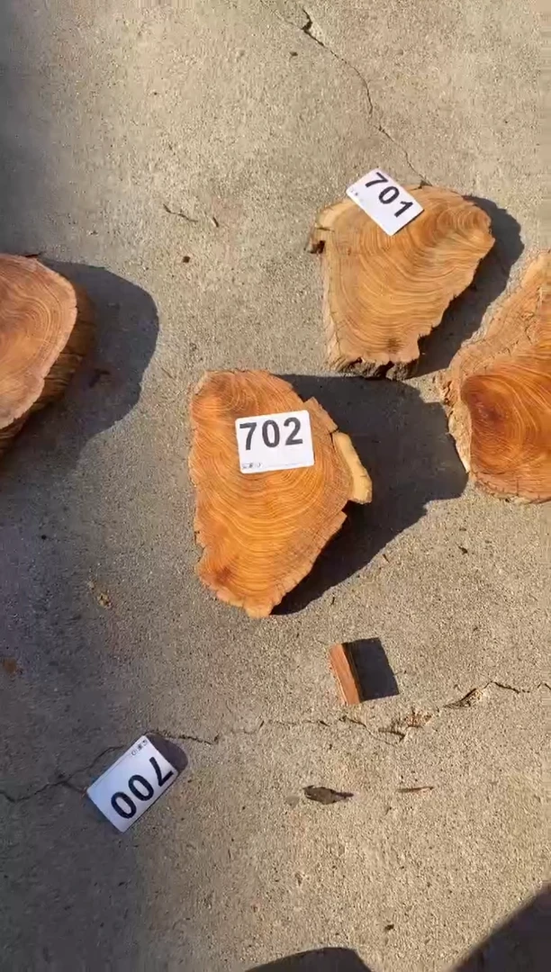 柏木（崖柏）太行陈化崖柏切片一片702