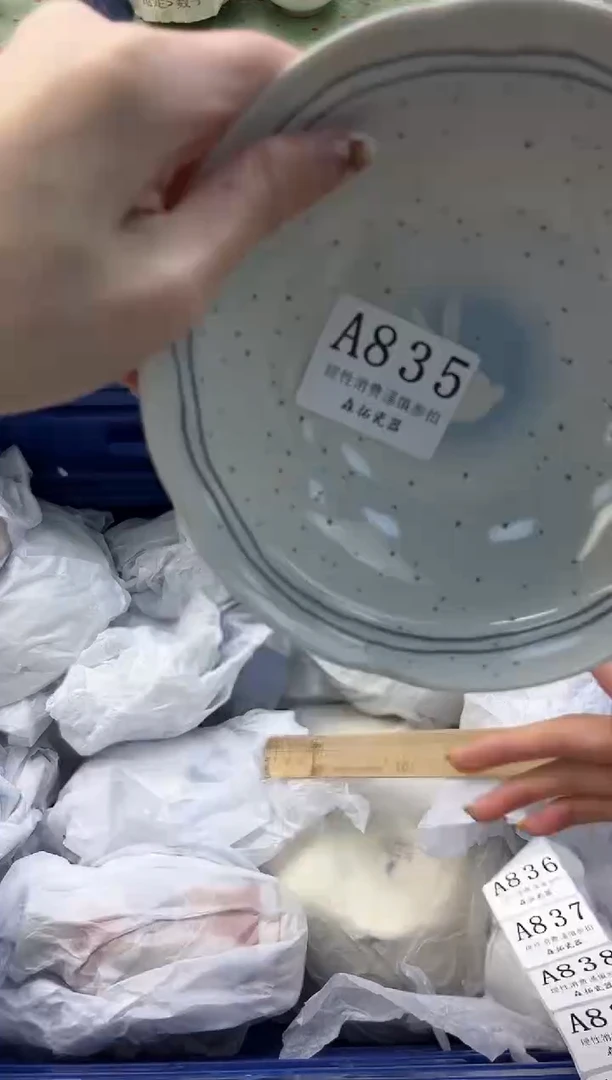 【闪购商品】瓷片          A835