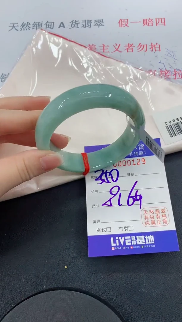 未镶嵌手镯翡翠291