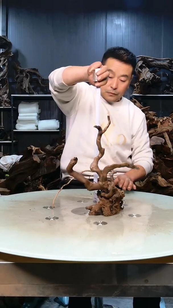 664清香阁清香阁清香阁