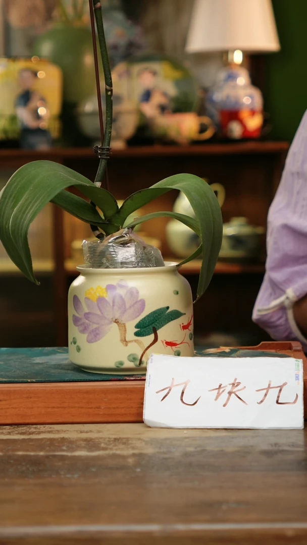 瓷片景德镇纯手工釉下彩精品茶具水杯