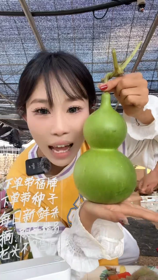 519天然葫芦摆件 一物一拍龙头不保售后