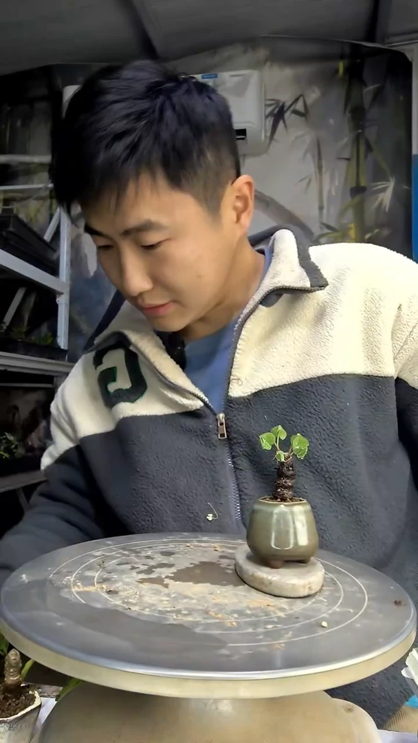 n**t中青园艺一物一拍花190