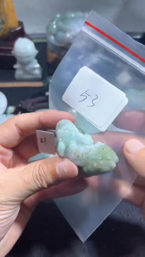 【闪购商品】翡翠颈饰未镶嵌00000053