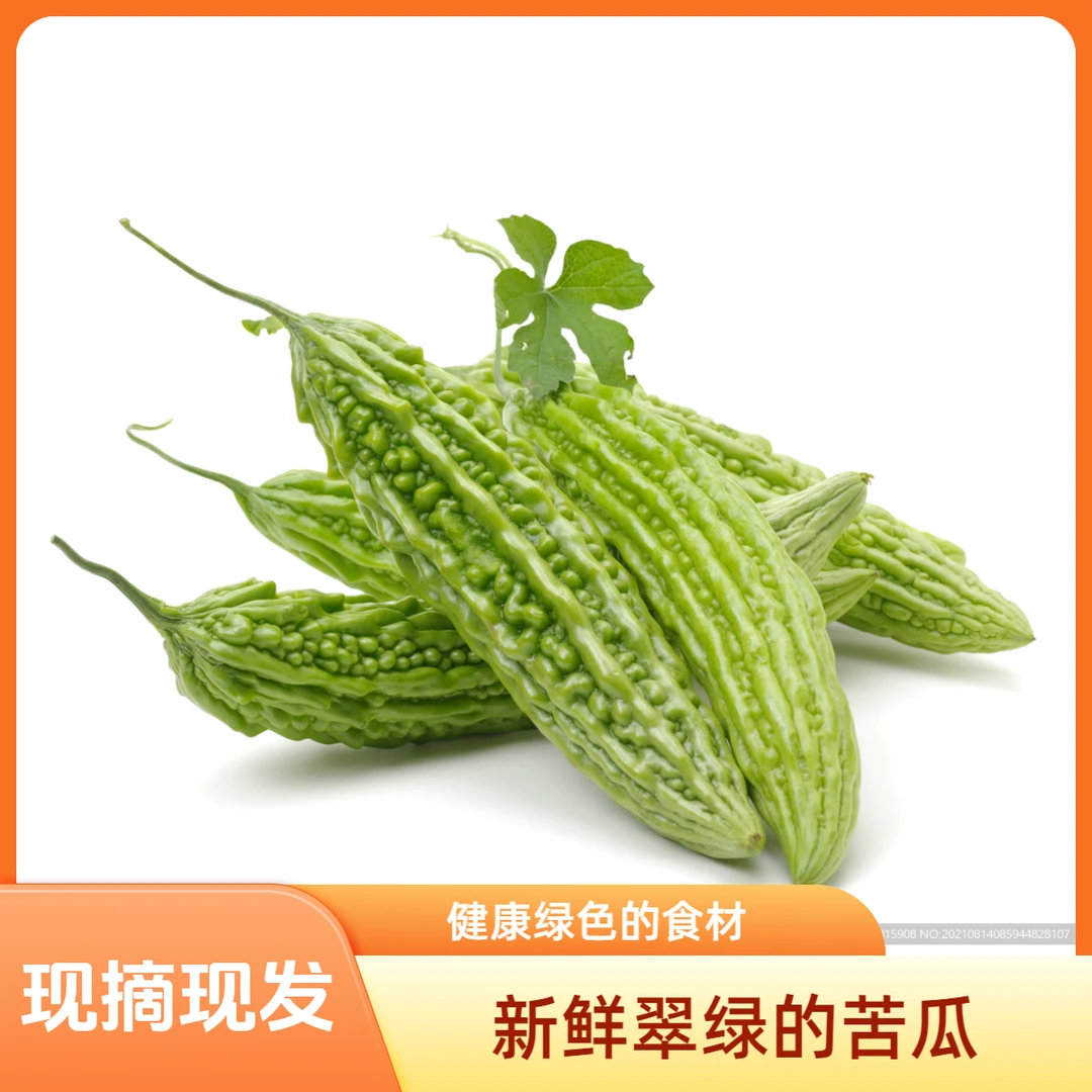 新鲜农家自种苦瓜苦瓜蔬菜现摘现在发蔬菜小苦瓜