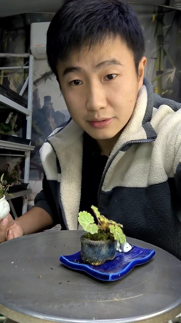 ?****%中青园艺一物一拍70