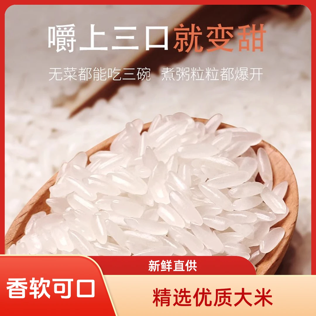 【拍5斤送5斤】猫牙米长粒香米软糯香甜24年新米现磨现发丝苗米不抛光非真空A包谷饭大米