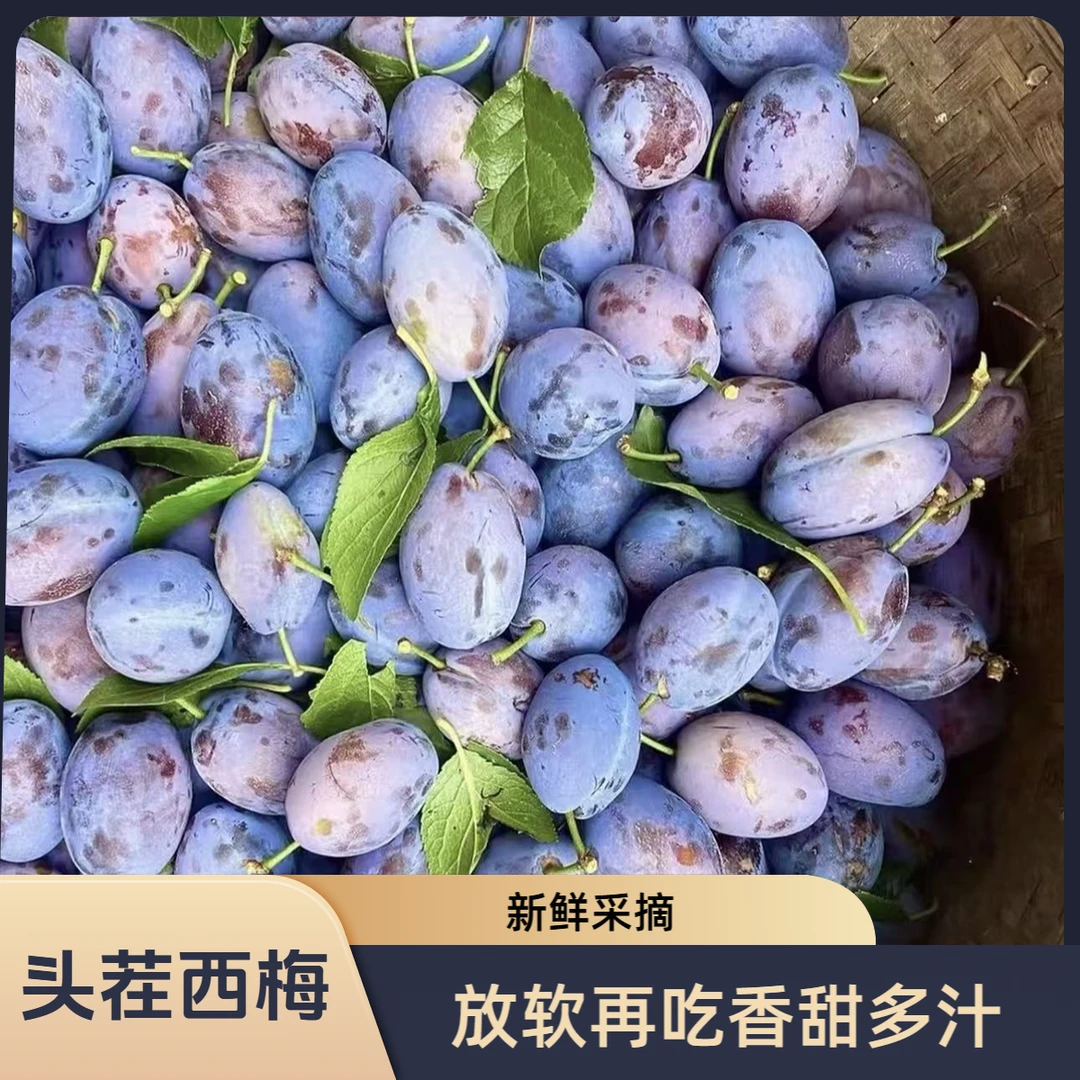 【今天拍明天到】头茬蓝蜜西梅软硬两吃当季新鲜水果 2