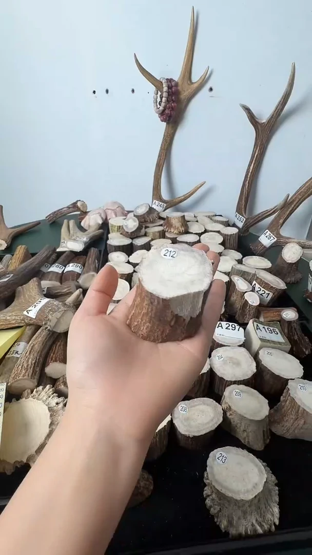 原皮鹿角雕刻料高密度