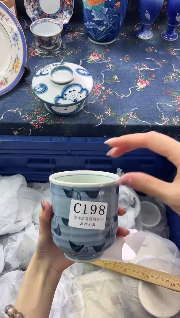 瓷片          C198