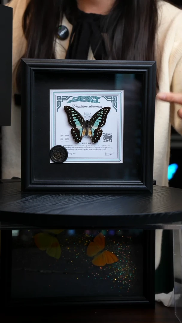 碎斑青凤蝶盲盒款