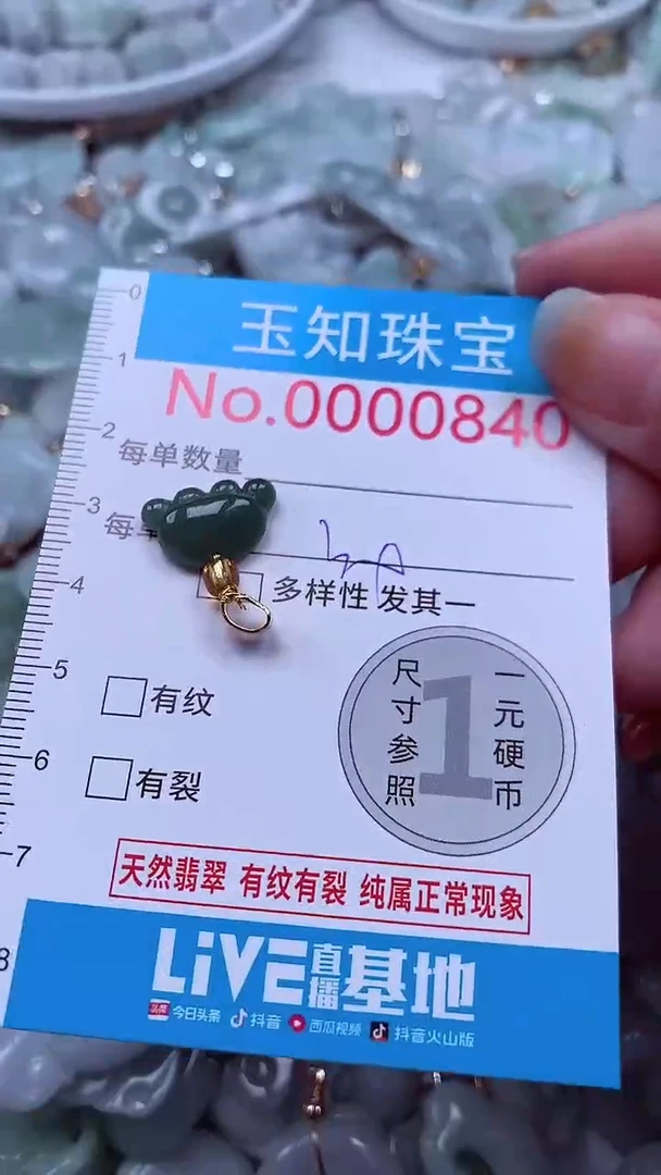 吊坠(不含链)未镶嵌翡翠840
