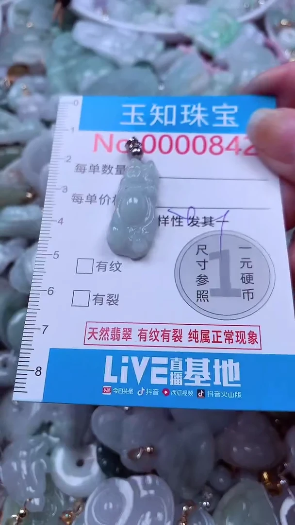 吊坠(不含链)未镶嵌翡翠842