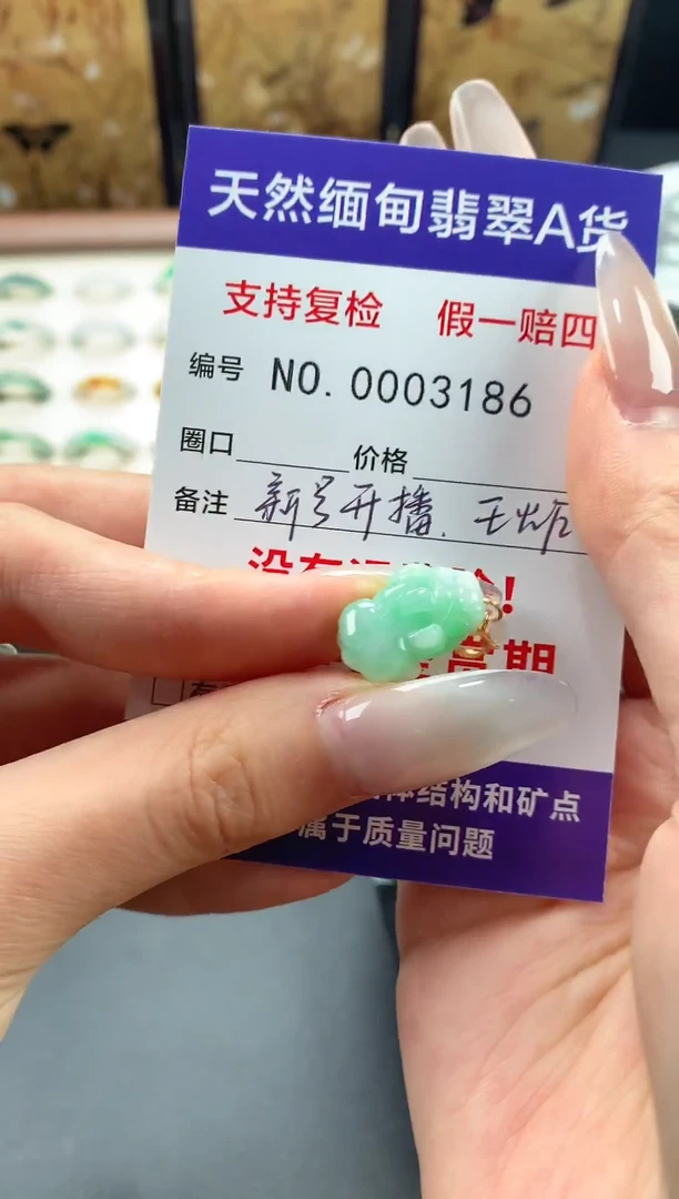 颈饰未镶嵌翡翠貔貅