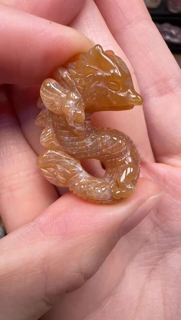 颈饰未镶嵌硅化珊瑚（珊瑚玉）668