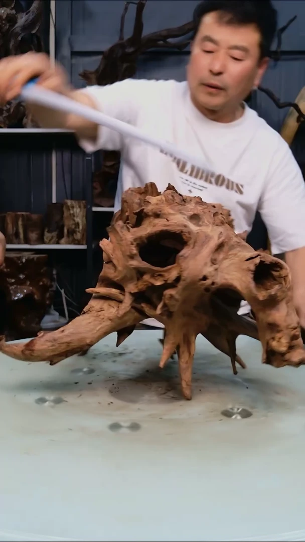 木407清香阁清香阁清香阁