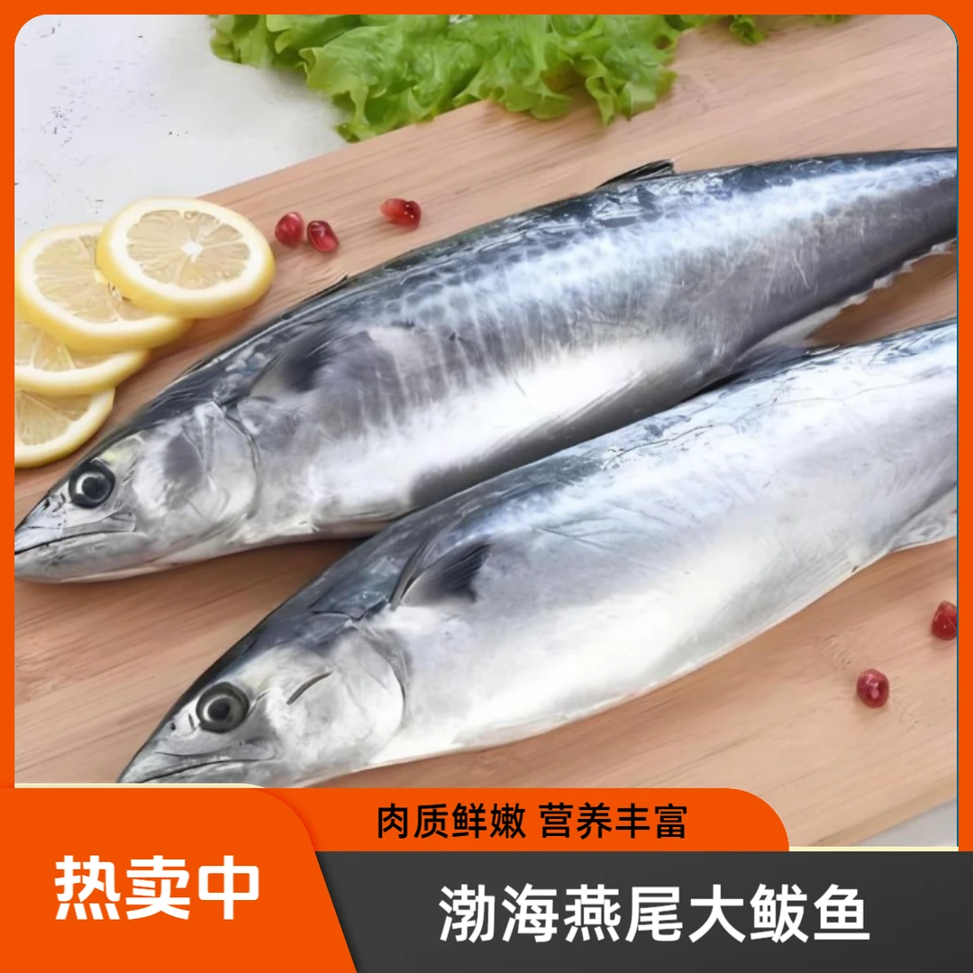 【顺丰京东包邮】渤海新鲜天然速冻海捕燕尾鲅鱼深海大鲅鱼