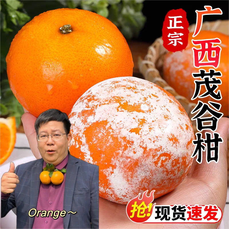 正宗广西茂谷柑新鲜现摘现发脏脏柑皮薄多汁2-5-9斤装整箱包邮