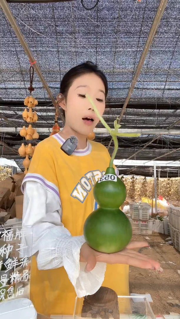 053天然葫芦摆件 一物一拍龙头不保售后