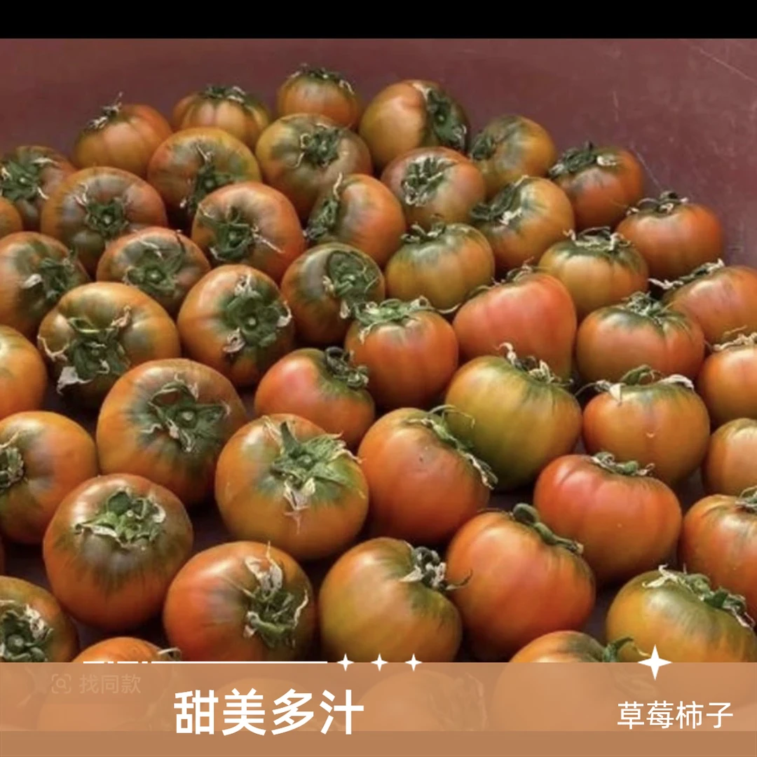本地草莓柿子500g