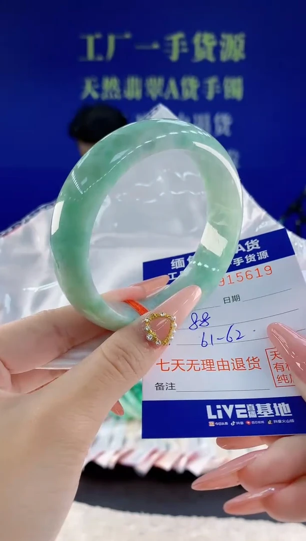 未镶嵌手镯翡翠19