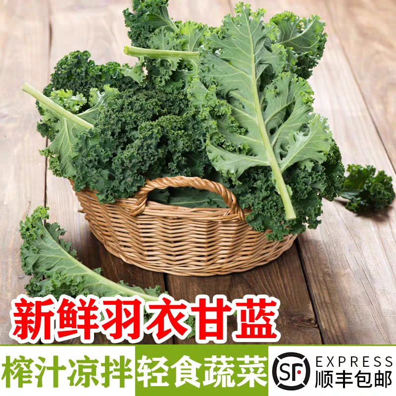 羽衣甘蓝新鲜蔬菜食用kale榨汁西餐烤片轻食西餐沙拉蔬菜