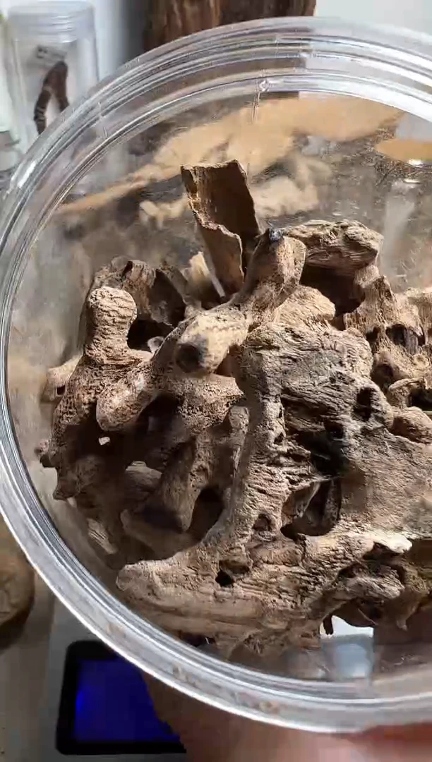 沉香沉香碎屑越南顺化沉香土沉20克多样性