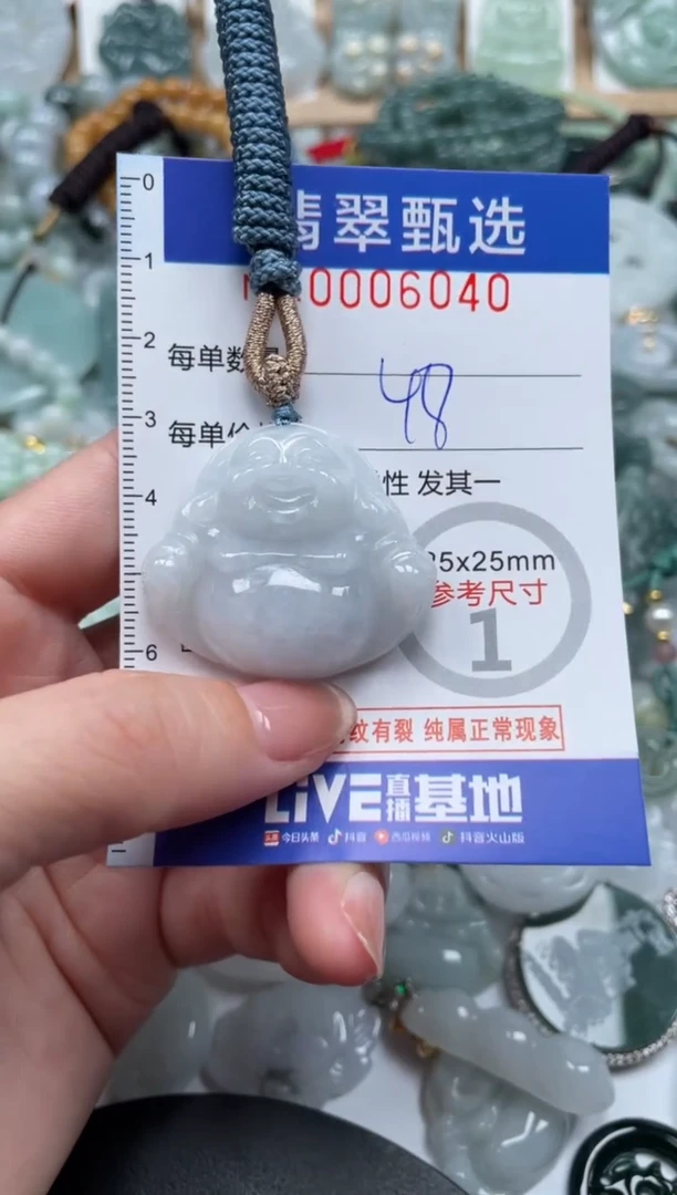 翡翠未镶嵌颈饰00..6040