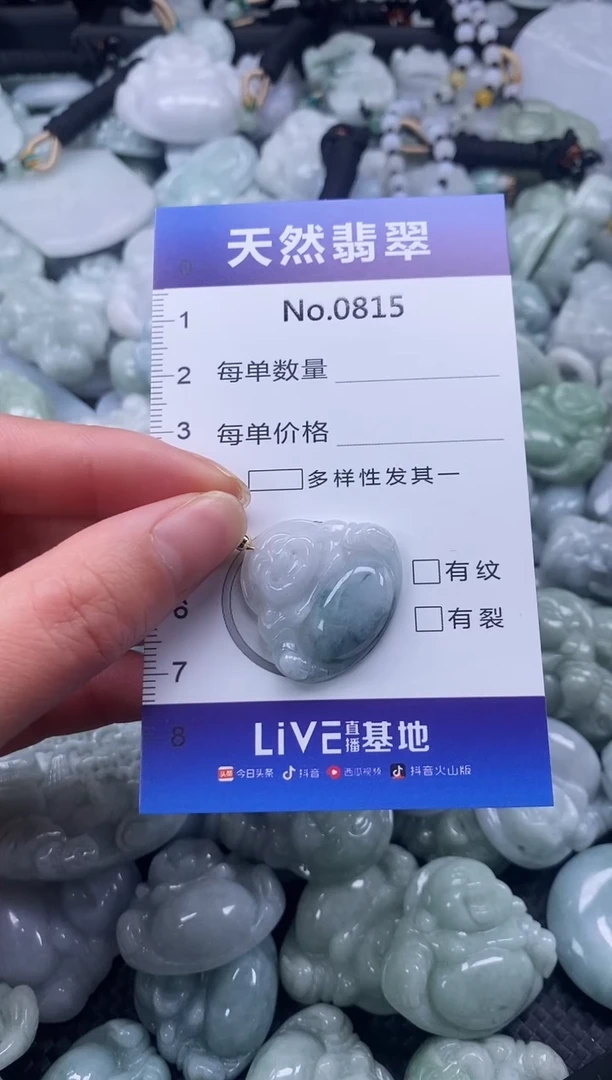 【闪购商品】翡翠颈饰未镶嵌缅甸A货翡翠0815