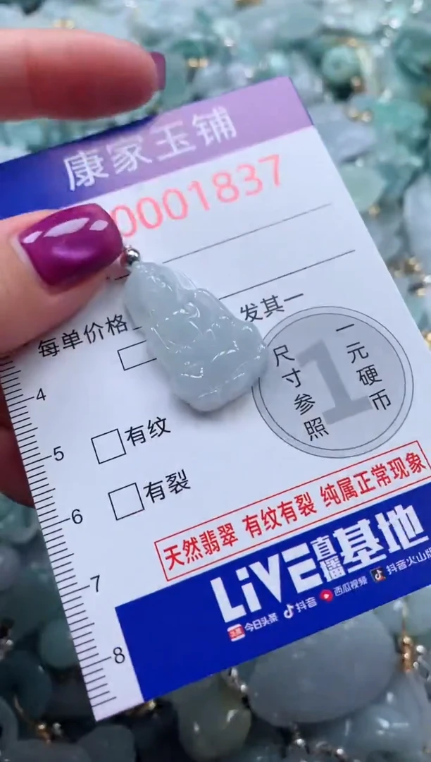 颈饰未镶嵌翡翠1837