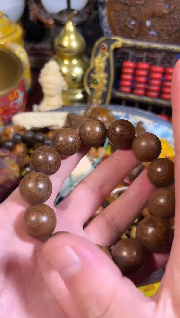 黄杨木11111111111111