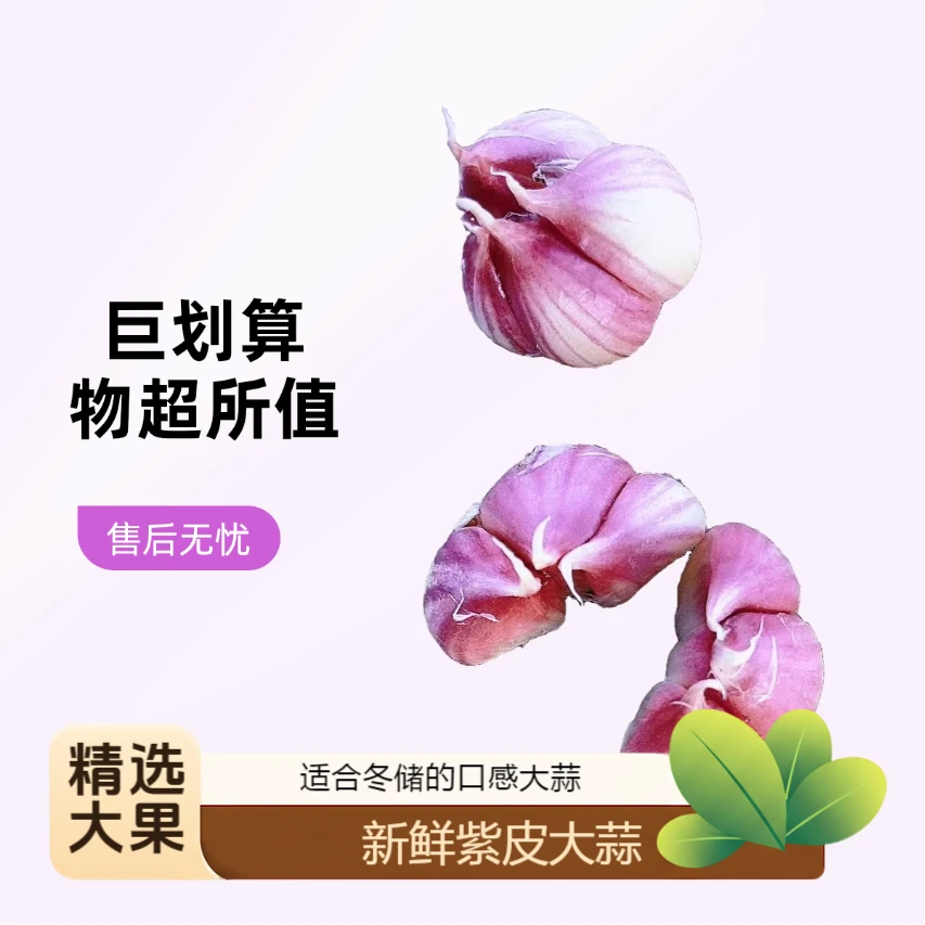 【精选大果】静海陈官屯特色大蒜红皮四六瓣【8瓣为正常范畴】