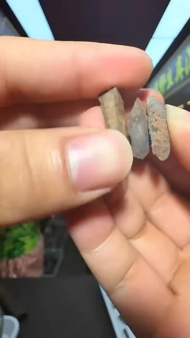 沉香沉香香囊2号文莱碎料拍一发三多样性发一