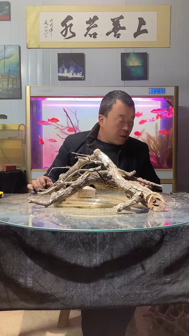 161号天然黄栎木一组