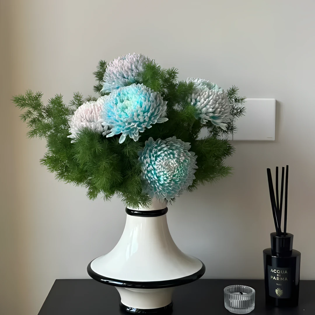 【大头牡丹菊＆荷兰进口花】AAA级多色牡丹菊空运发货