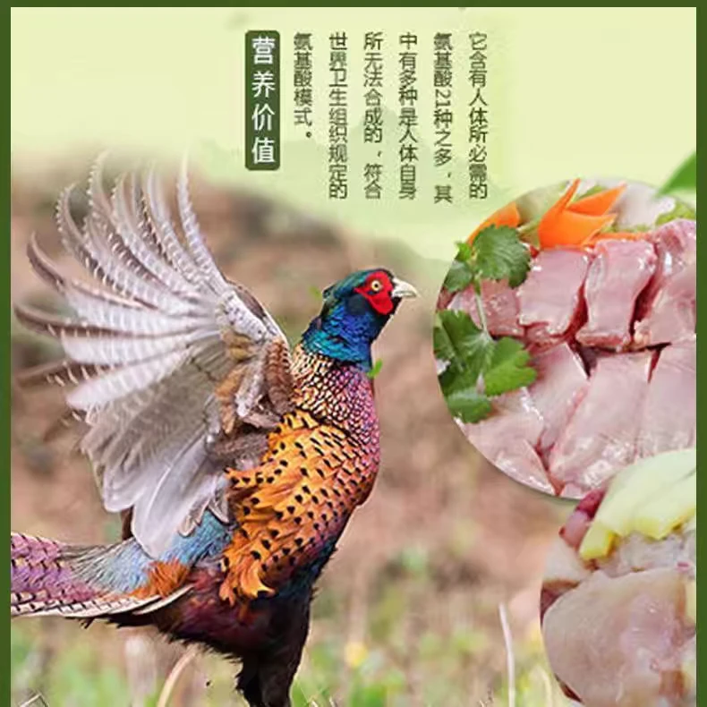 蓟县大山野山鸡，活鸡现杀，自然散养，生态养殖，风味好，营养更健康