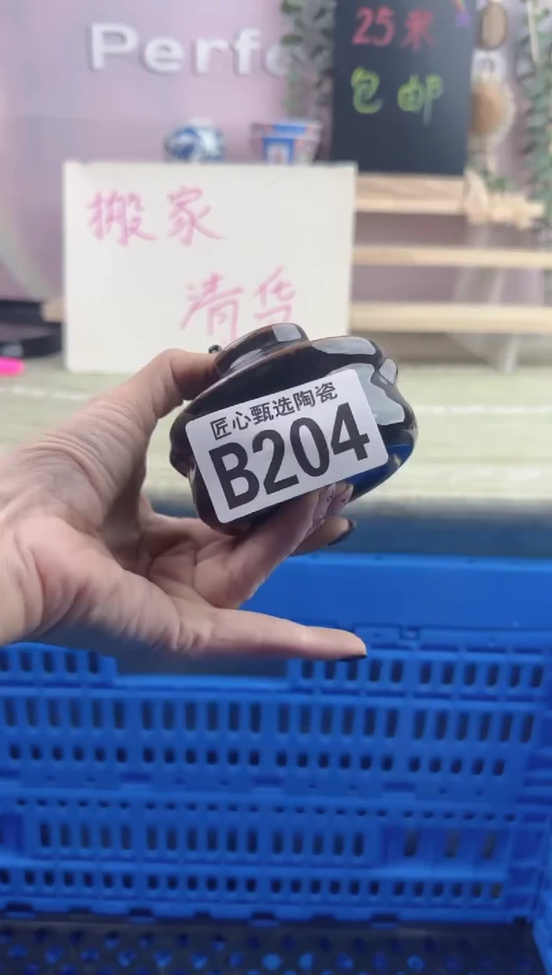 瓷片天***鞋       B204