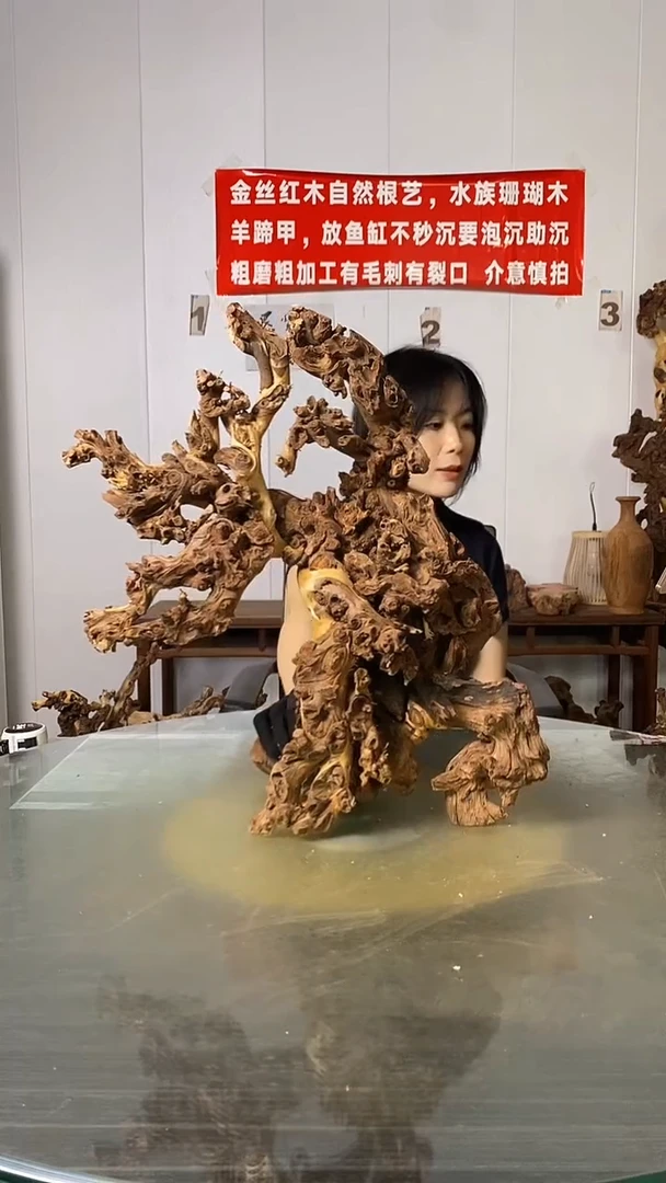 香榧木辉金丝红木 羊蹄甲