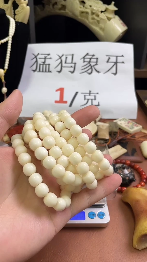 猛犸秋秋纯肉11*10老型单圈