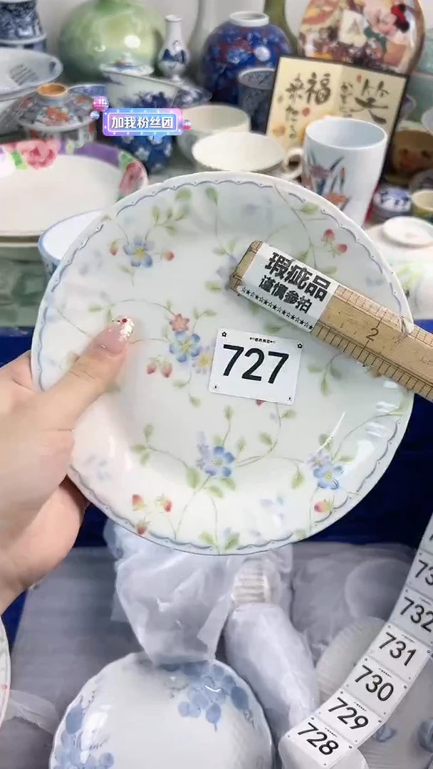 【闪购商品】瓷片726............