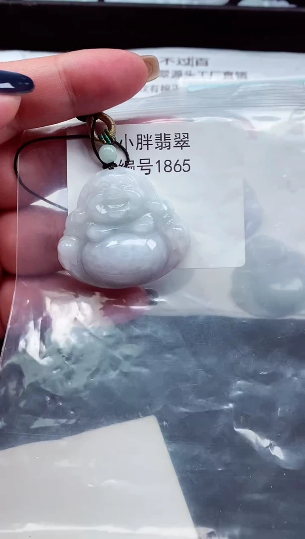 颈饰未镶嵌翡翠缅甸天然A货翡翠1865