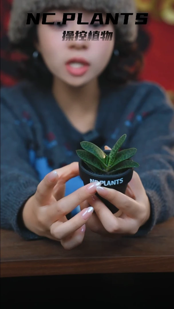 【闪购商品】 小半