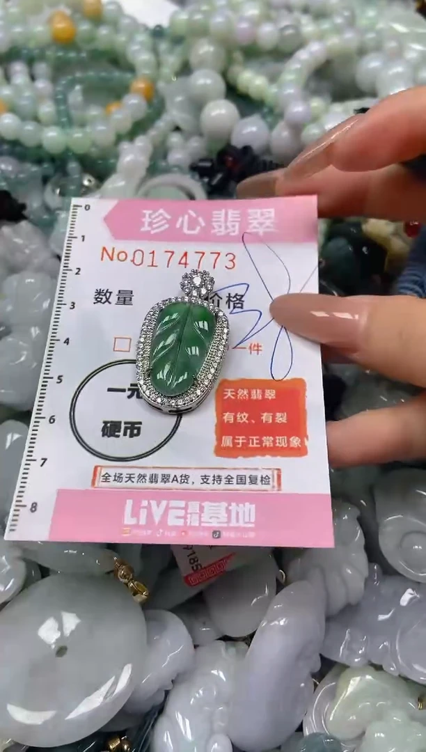 【闪购商品】翡翠颈饰未镶嵌闪购0174773