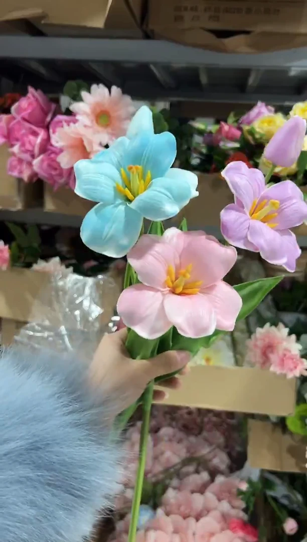 3枝混色2头布朗尼