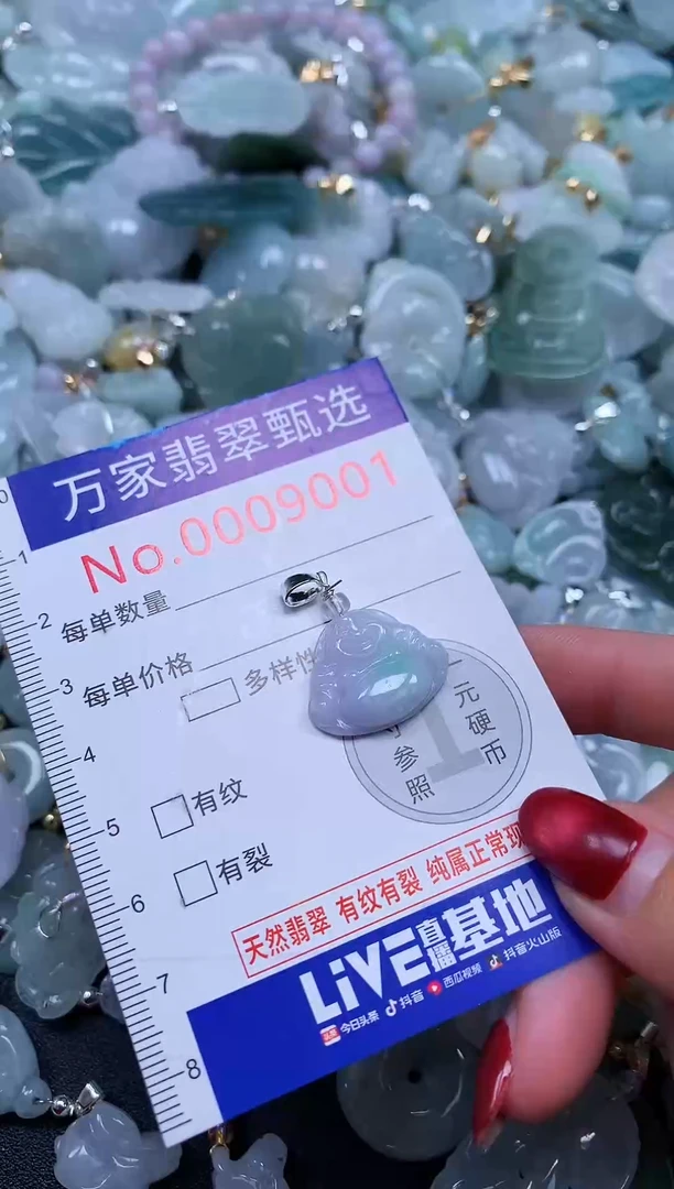 颈饰未镶嵌翡翠9001