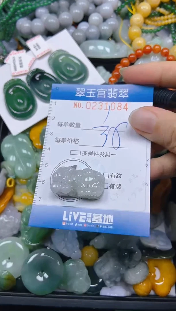 颈饰未镶嵌翡翠闪购C0231084